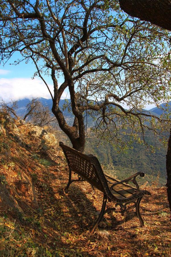 Almondhouse Suites With Fireplace - Adults Only Arachova Dış mekan fotoğraf